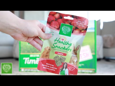 https://www.youtube.com/watch?v=jWvNuxXrxlY&t=8s