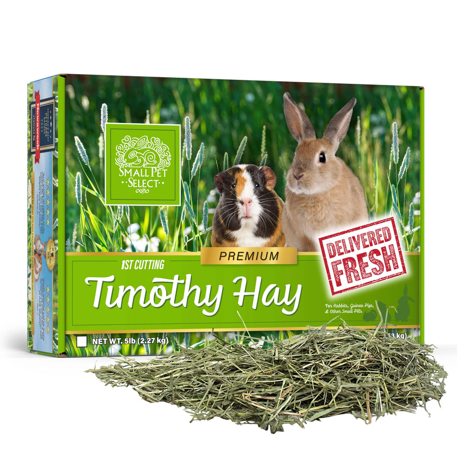 Small animal supplies store online