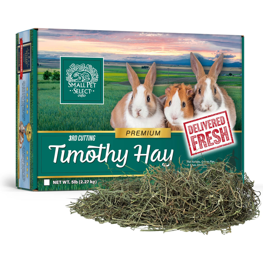 Illustration of Timothy Hay For Rabbits With Uti Symptoms