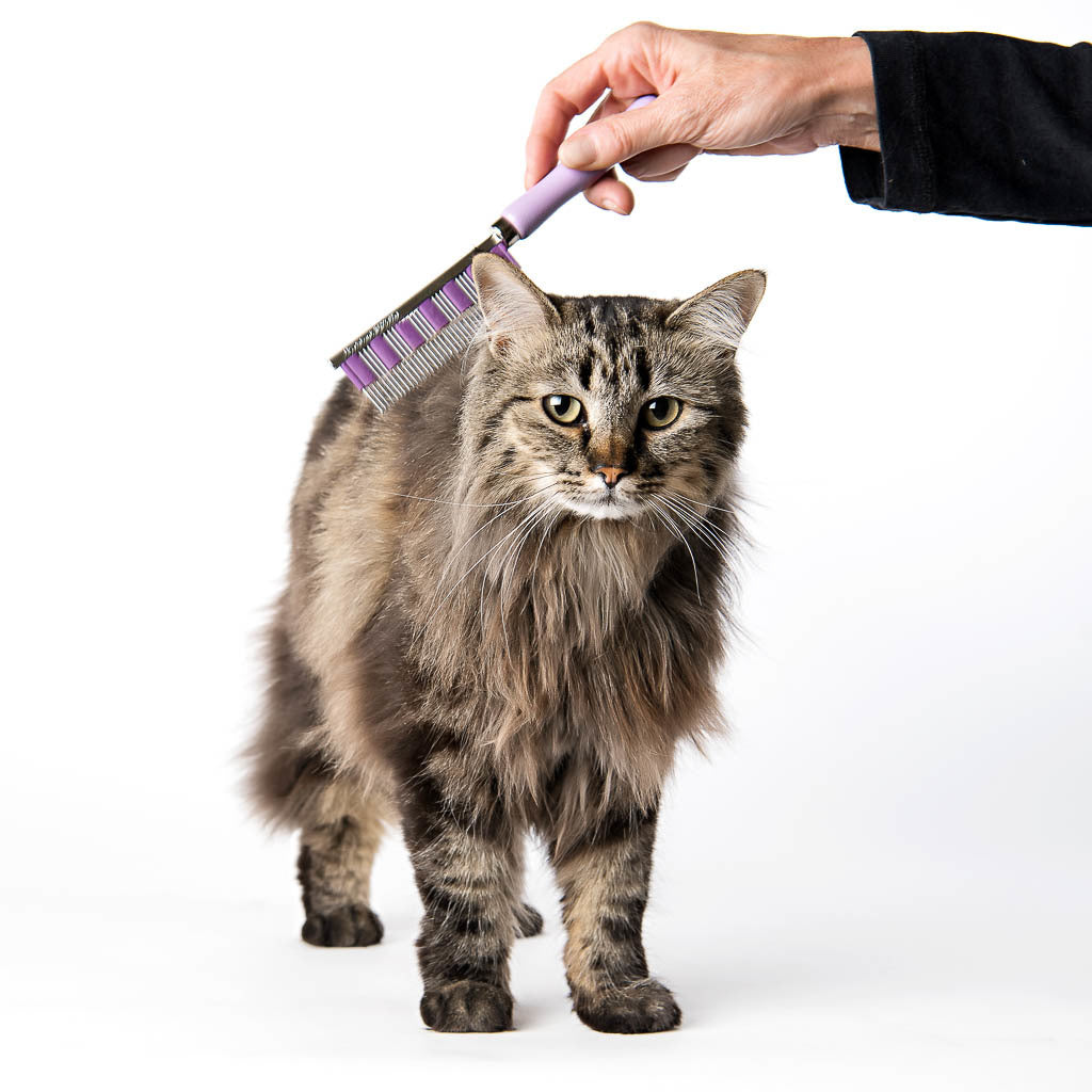 smallpetselect-uk,Hair Buster Comb