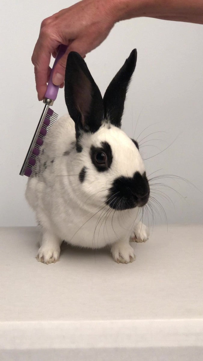 smallpetselect-uk,Hair Buster Comb
