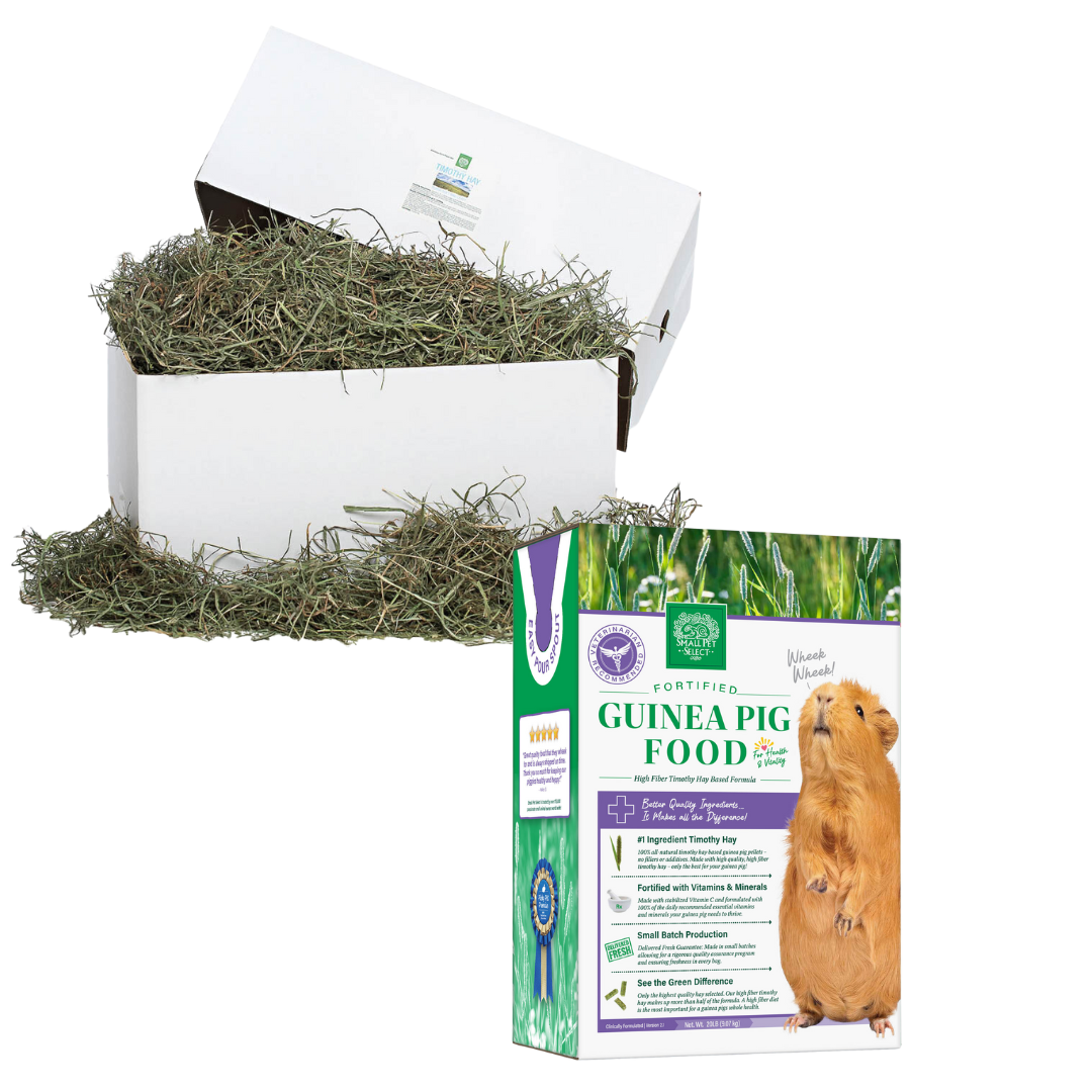 Orchard hay for top guinea pigs