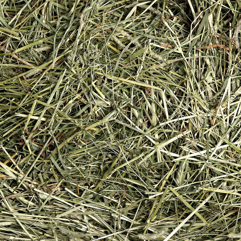 1st Cutting Timothy Hay