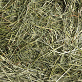 1st Cutting Timothy Hay