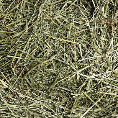 1st Cutting Timothy Hay (Stock expected Mid March)