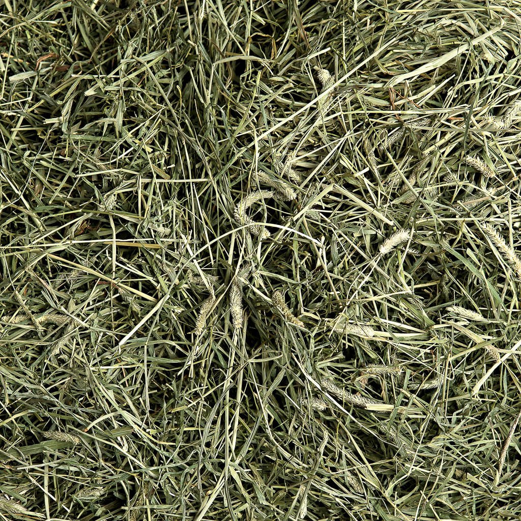 smallpetselect-uk,2nd Cutting Timothy Hay