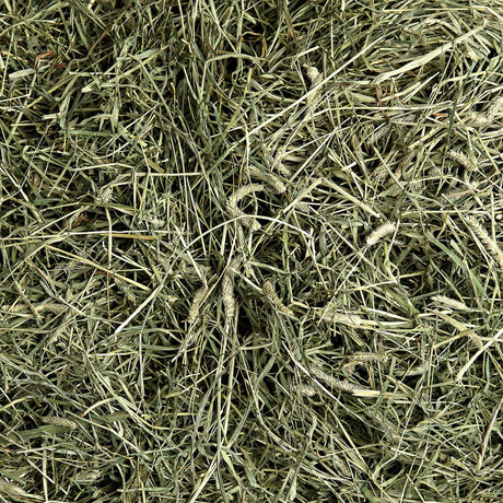smallpetselect-uk,2nd Cutting Timothy Hay