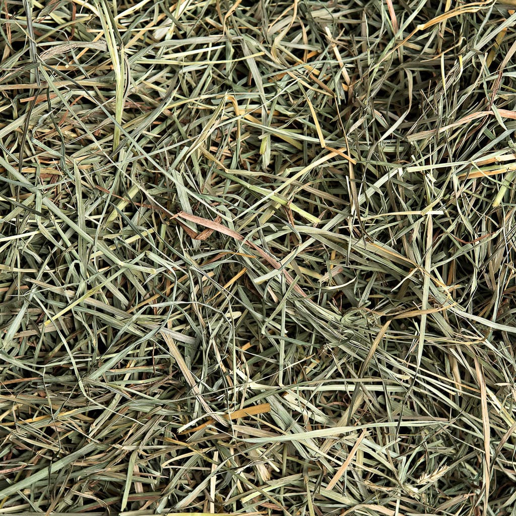 Orchard Hay