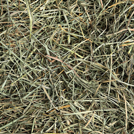 Orchard Hay