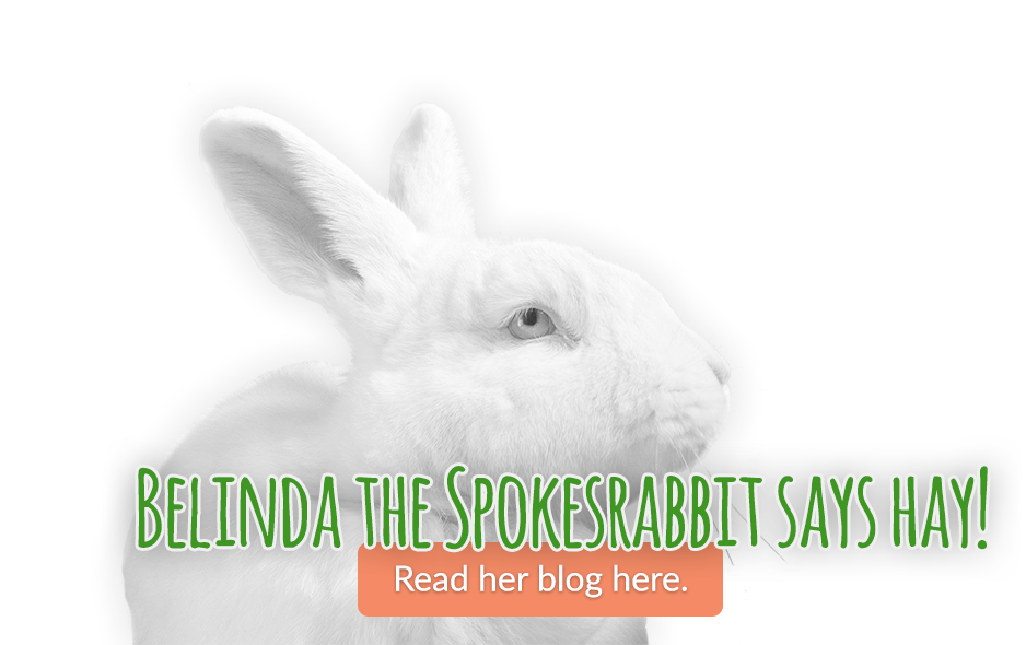 Belinda the Spokesrabbit says Hay! Read her blog here.